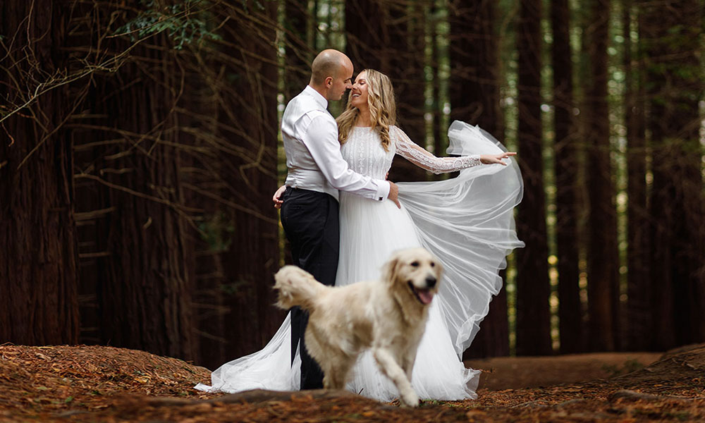 Rubén Gares,fotógrafo de bodas,Cantabria,pico velasco,casona de las fraguas,finca de san juan,hotel real,_0145